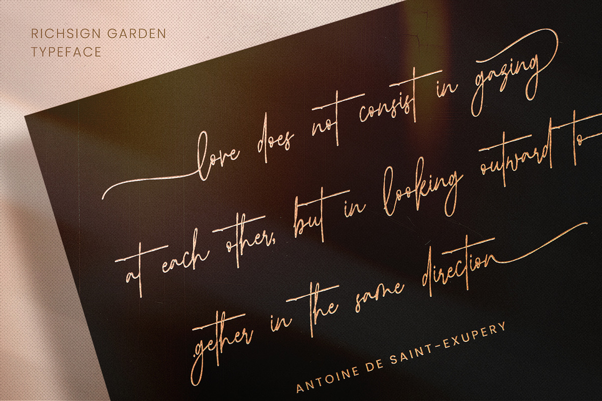Richsign Style, a Script Font by din-studio.com (Photo 2 of 11)