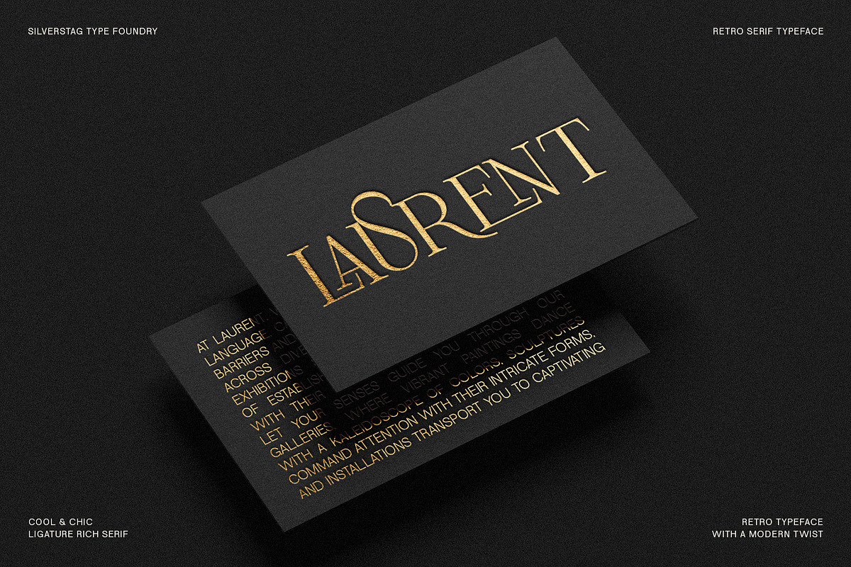 Frosty Garden - Elegant Retro Serif, a Serif Font by SilverStag Type Foundry (Photo 9 of 19)