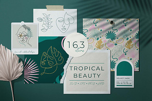 Tropical Velvet Jade Beauty