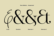 Roze Belinda - Display Font Duo, a Slab Serif Font by Sign Studio (Thumbnail 13 of 15)