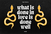 TAN - KIOSK, a Serif Font by TanType (Thumbnail 4 of 16)