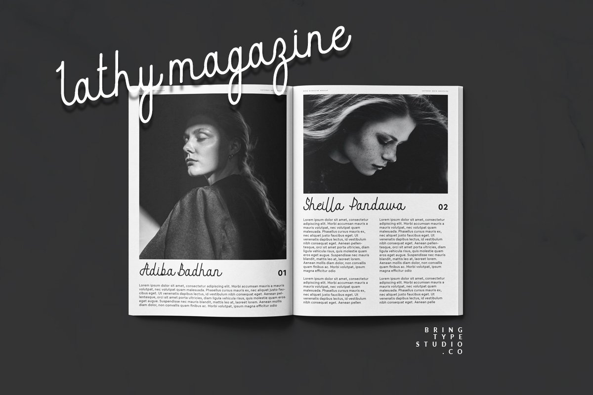 Alica Kristine | Monoline, a Script Font by BringTypeStudio (Photo 3 of 7)