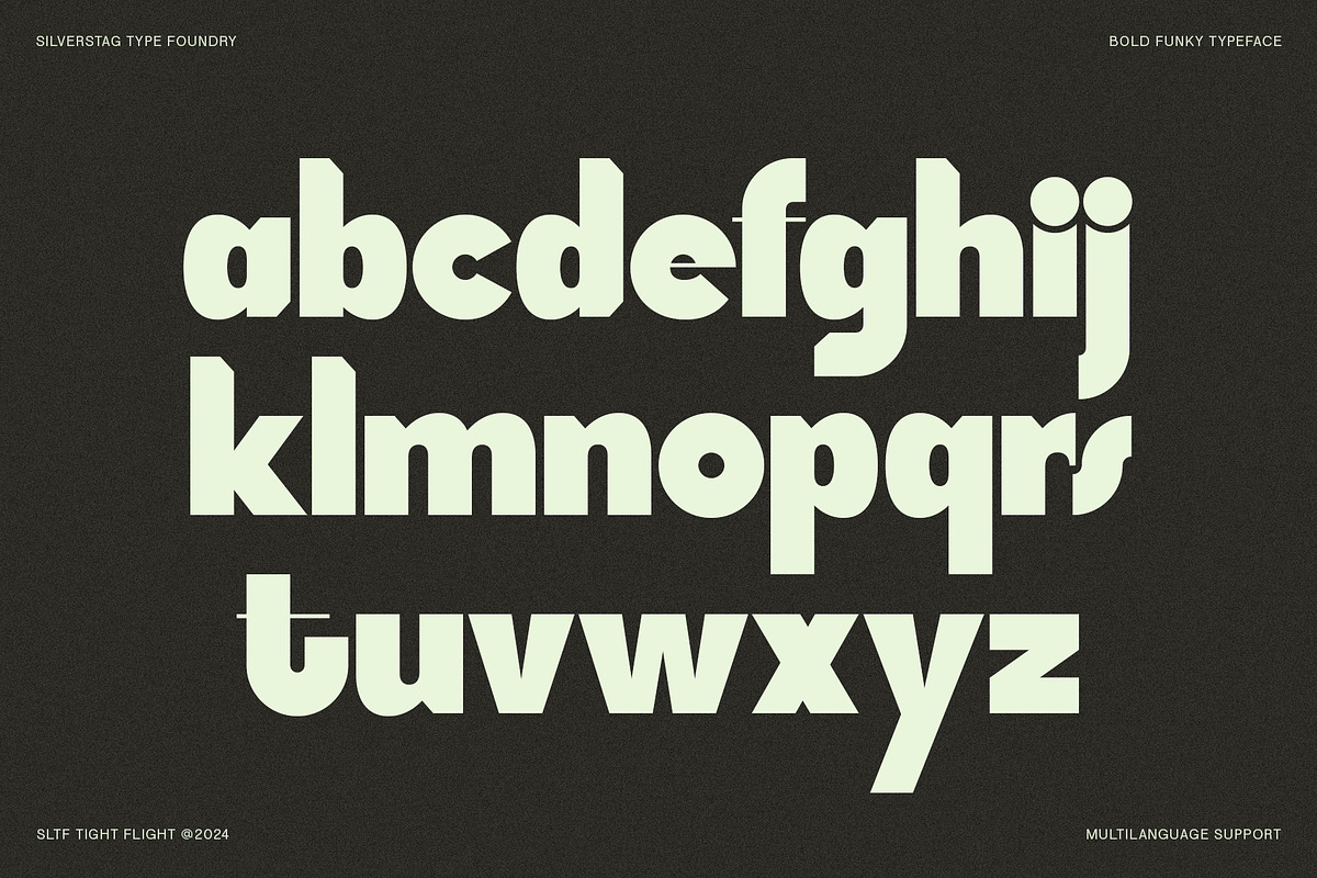 SLTF Tight Flight - Bold Funky Font, a Sans Serif Font by SilverStag Type Foundry (Photo 19 of 19)
