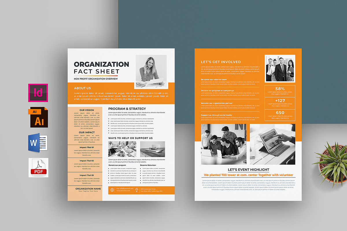 Nonprofit Organization Fact Sheet, a Stationery Template by obayes (Photo 1 of 4)