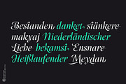 Scrifha Display Font Family, a Script Font by Hurufatfont (Thumbnail 4 of 16)