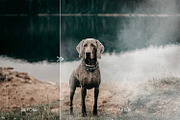 30 Real Fog & Mist Photo Overlays preview 3