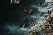 Big Sur Coast, a Nature Photo by remi + tori (Thumbnail 2 of 2)