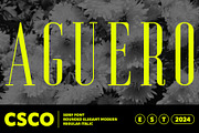 Aguero Serif Rounded, a Serif Font by Craft Supply Co. (Thumbnail 1 of 8)