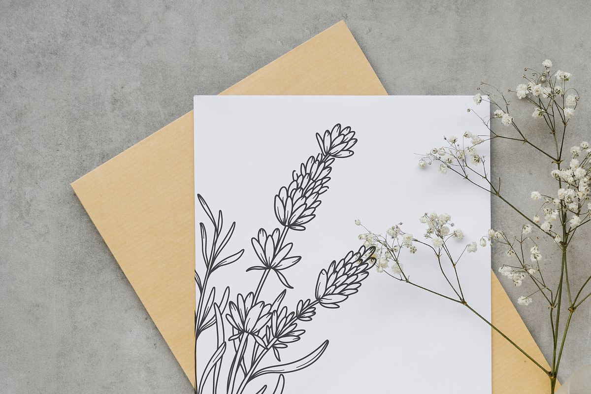 Lavender Clipart Line Art, an Object Graphic by CaraulanStore (Photo 9 of 10)