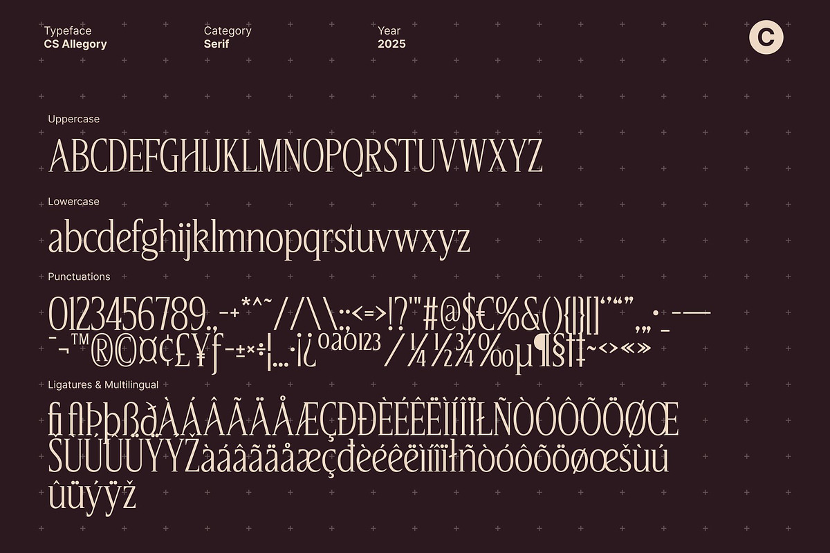 CS Allegory – Elegant Serif Font, a Serif Font by Craft Supply Co. (Photo 8 of 8)