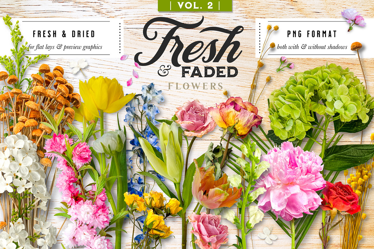 Fresh & Dried Floral Flay Lay Vol 2, a Product Mockup by Eclectic Anthology (Photo 1 of 7)