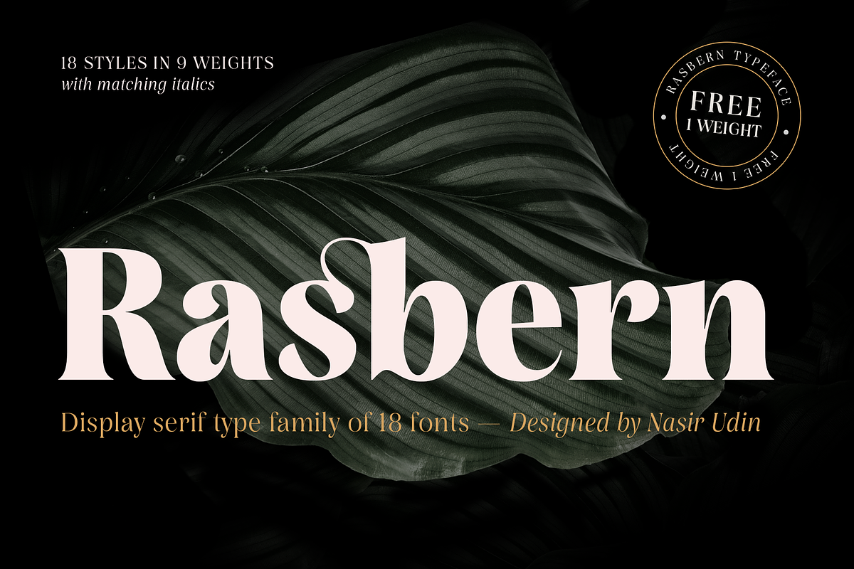 Rasbern — 18 Fonts, a Serif Font by Nasir Udin (Photo 1 of 17)