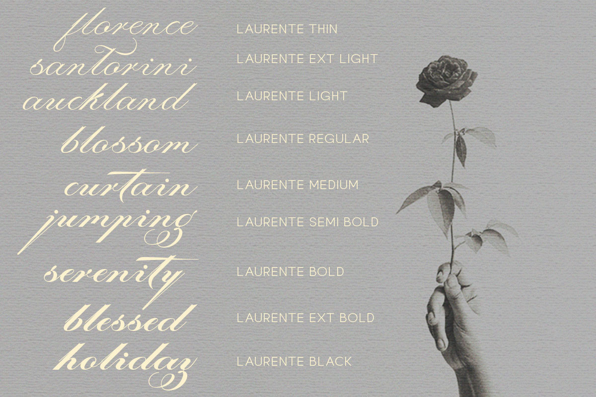 Laurente - Family Script Pro, a Script Font by Slex Studio (Photo 11 of 13)