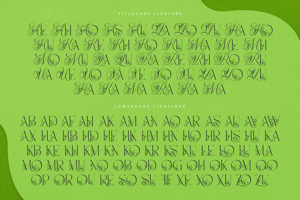 Narony Natural Typeface, a Sans Serif Font by alit design (Photo 19 of 20)