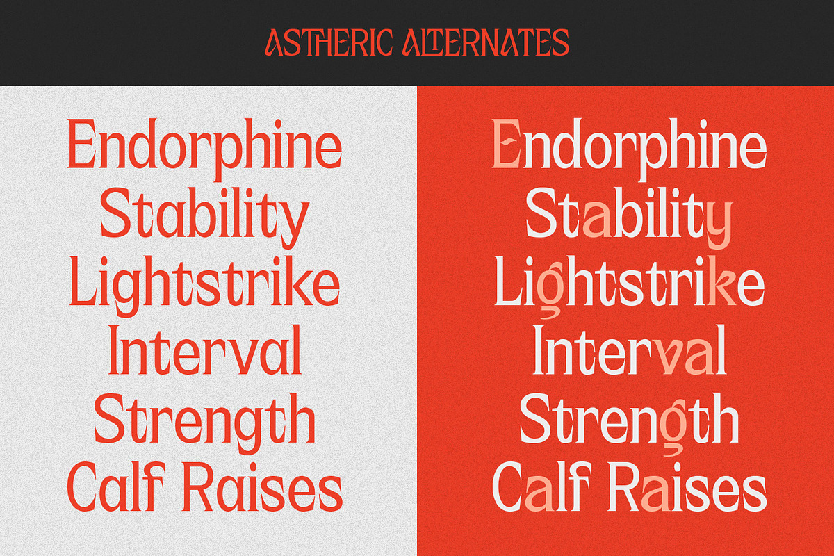 Astheric – Modern Ligature Serif, a Serif Font by Variatype (Photo 7 of 10)