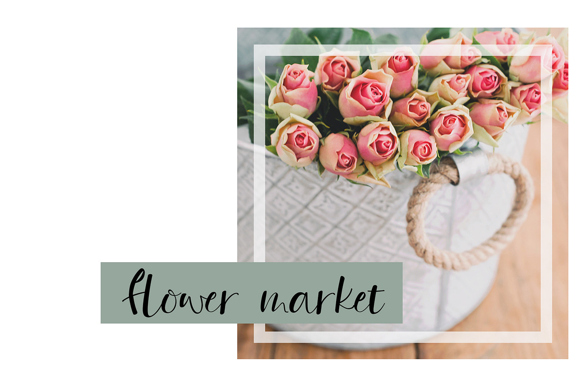 Pure Blush Stylish Script Font, a Font by DailyMiracleDigitals,LLC (Photo 3 of 4)