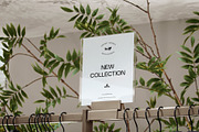 Logo Mockup Paper Collection Label, a Product Mockup by Asylab (Thumbnail 1 of 5)