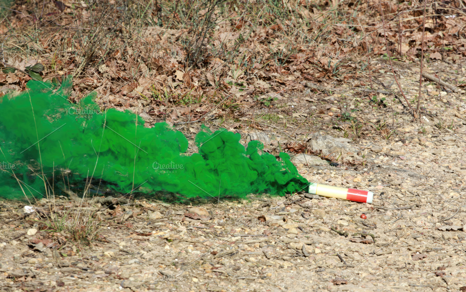 Green smoke grenade emitting thick colored smoke in a forest, a Sports & Recreation Photo by Antonio Gravante Market