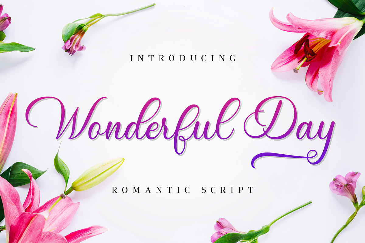 Wonderful Day - Romantic Script, a Script Font by Almarkhatype (Photo 1 of 11)