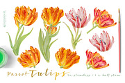 Vintage Parrot Tulips-Clipart set, an Illustration by watercolorwild.graphics (Thumbnail 2 of 6)