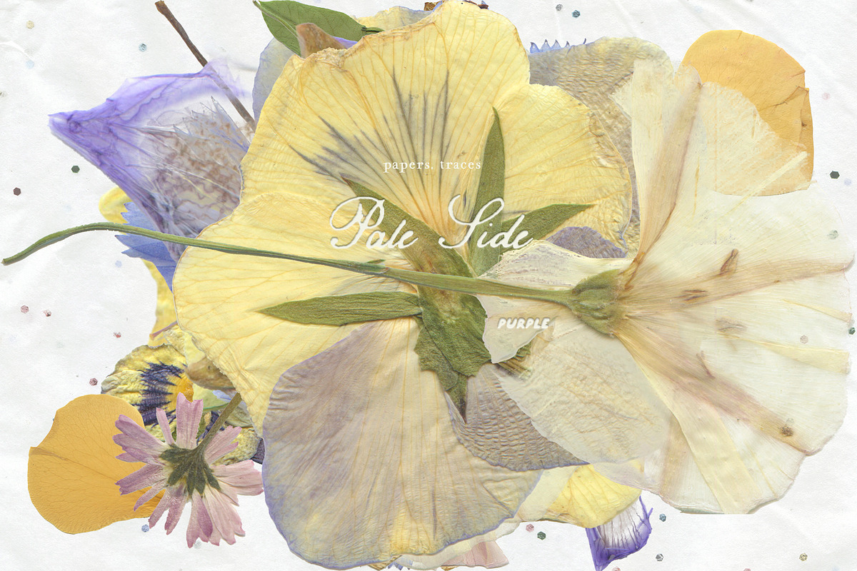 Pale Side: Papers, Flowers & Traces, an Object Graphic by Purple (Photo 7 of 16)
