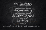 Fusha Brush, a Script Font by Mabhal Studio (Thumbnail 11 of 11)