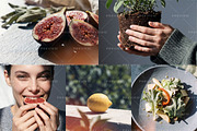 Heat-Bloom Stock Photos & Videos, a Holiday Photo by Iconogenic (Thumbnail 5 of 8)