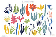 Aquatic Life, an Animal Illustration by AnkaDrozd (Thumbnail 5 of 12)