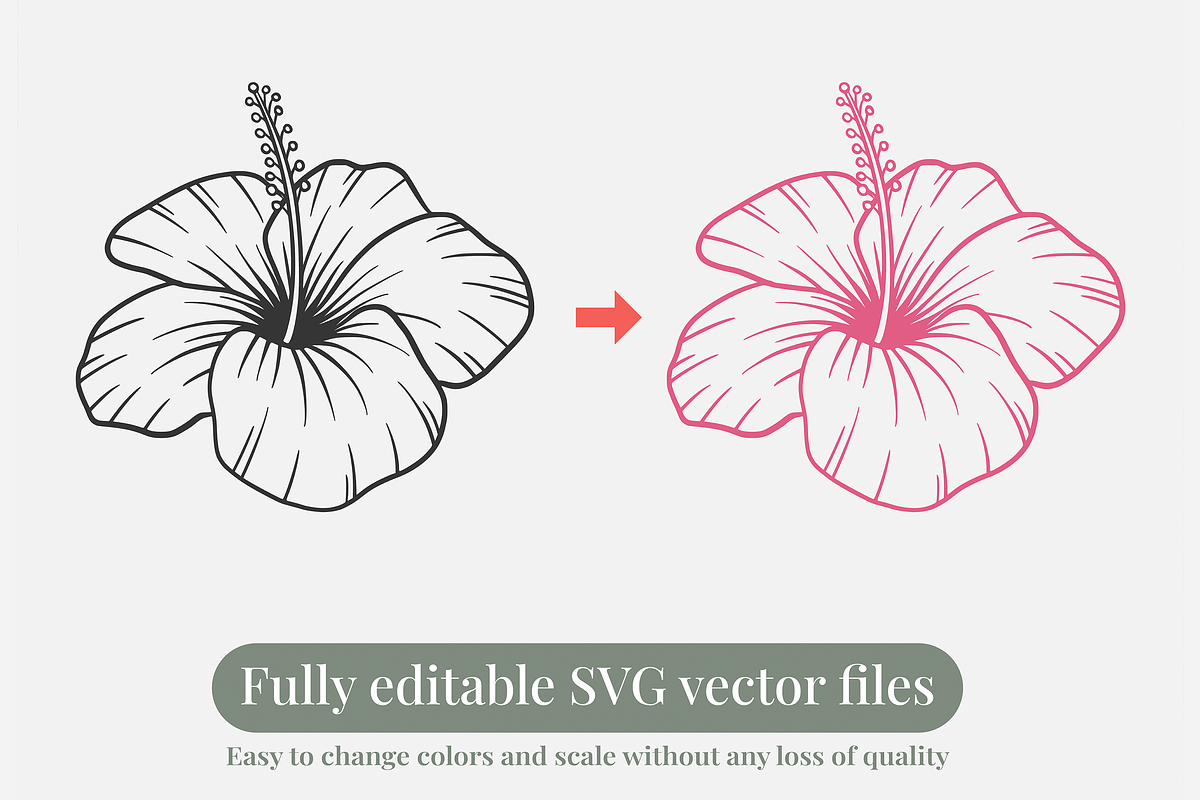 Hibiscus Line Art Illustration, a Decorative Illustration by Kusumaillustration (Photo 3 of 6)