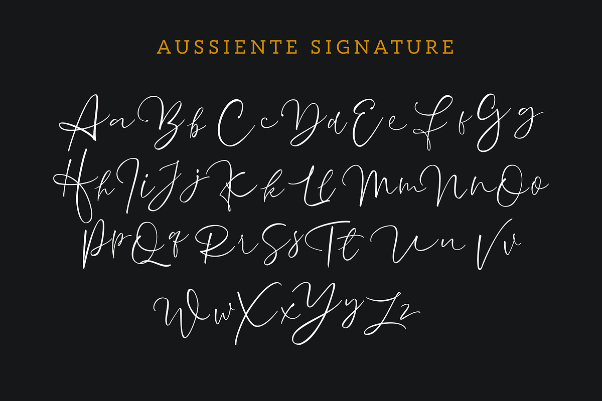 Aussiente Signature - Script preview 8