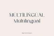 Maigre - Modern Serif, a Serif Font by Prioritype Co (Thumbnail 14 of 15)