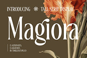 Magiora Tall Modern Serif Font, a Serif Font by timelesstype.co (Thumbnail 1 of 20)