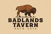 Badlands - A Rugged, Hand-drawn Font, a Serif Font by Eric Pond Designs (Thumbnail 3 of 6)