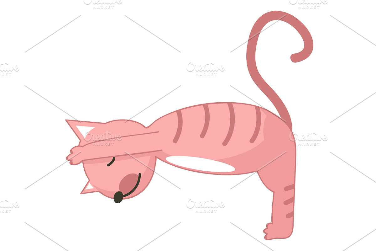 Cat yoga fitness vector icon cartoon, an Animal Illustration by SiberianArt