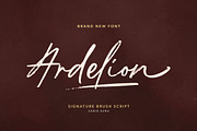 Ardelion - Signature Brush Script, a Script Font by Sarid Ezra (Thumbnail 1 of 9)