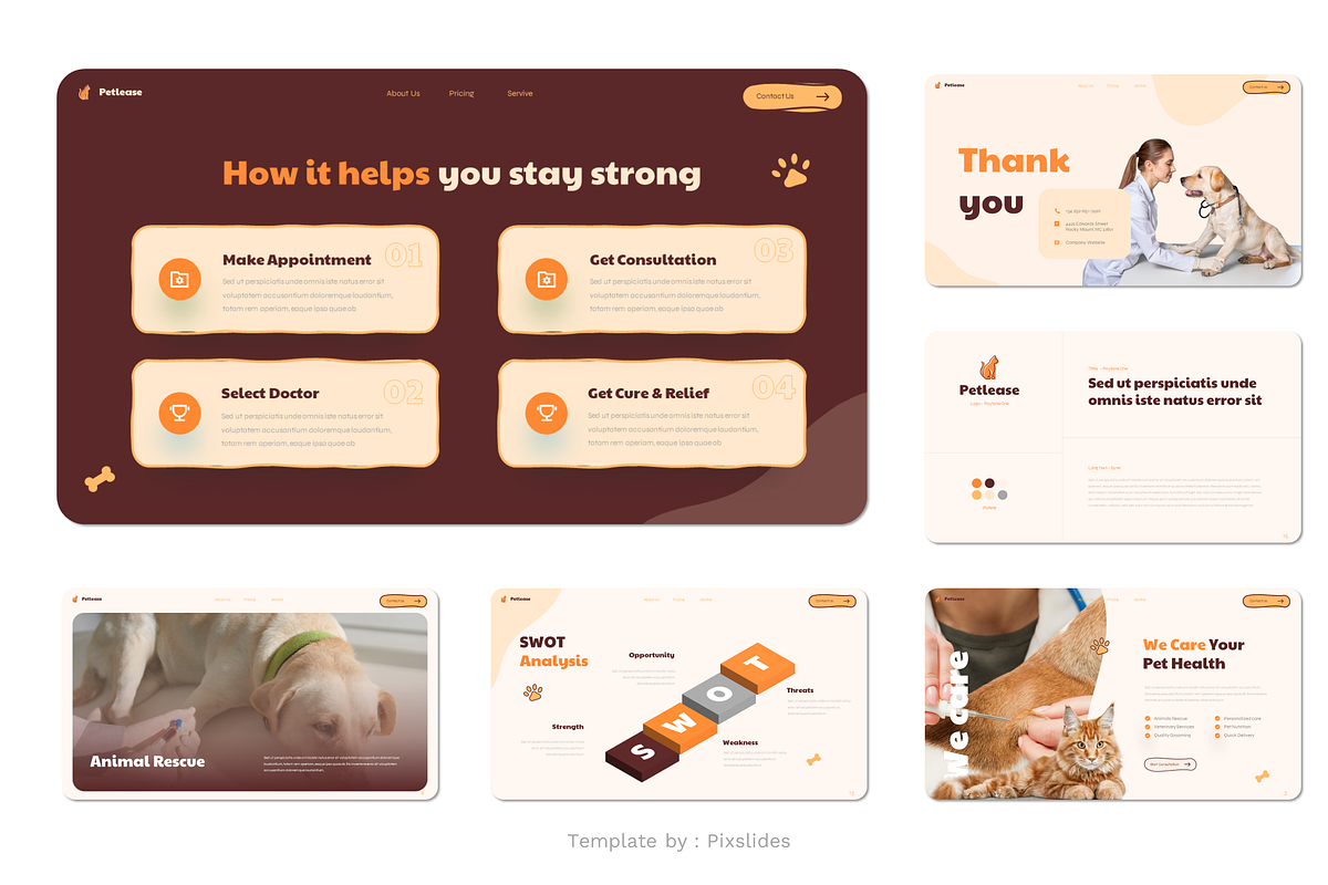 Pet Care Services Keynote, a Presentation Template by Pixslides (Photo 6 of 6)