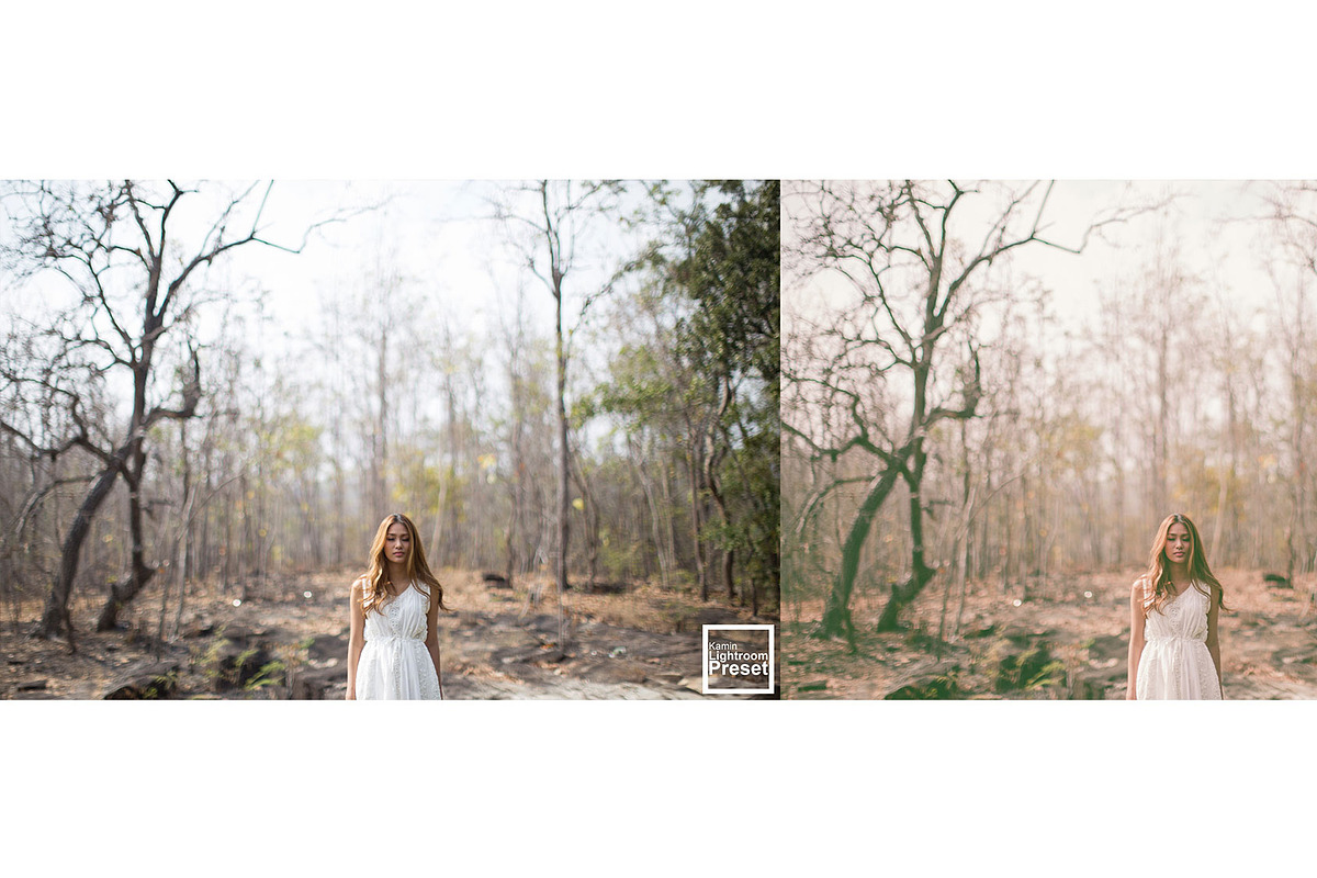 Kamin Film Feeling Roll 3, an Action Add-On by Kamin Lightroom Preset (Photo 22 of 22)