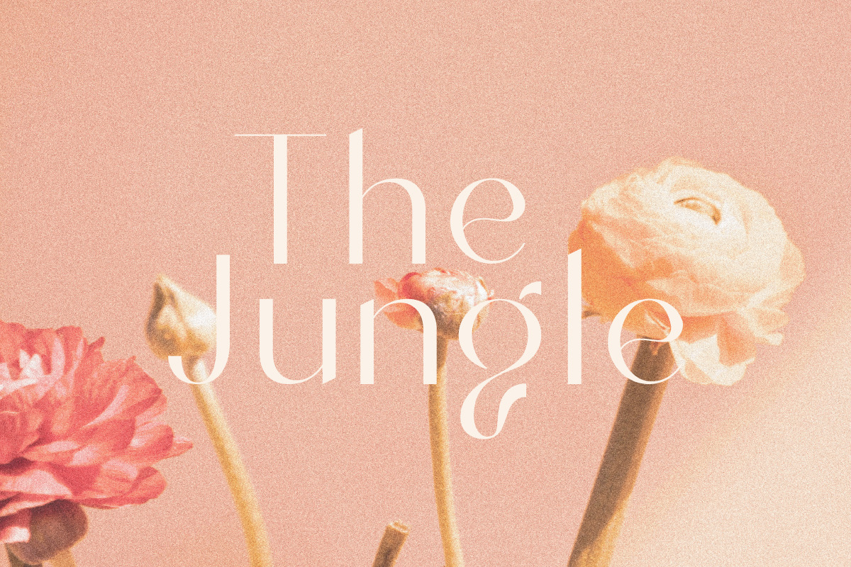 Indigo | San Serif Display Font, a Sans Serif Font by Monterey Studio (Photo 2 of 6)