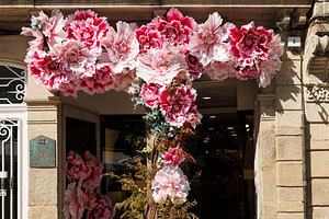 Decorative Pink Flowers Adorning a Building Entrance, Lugo, Spai