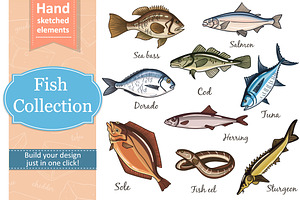 Fish Collection and patterns