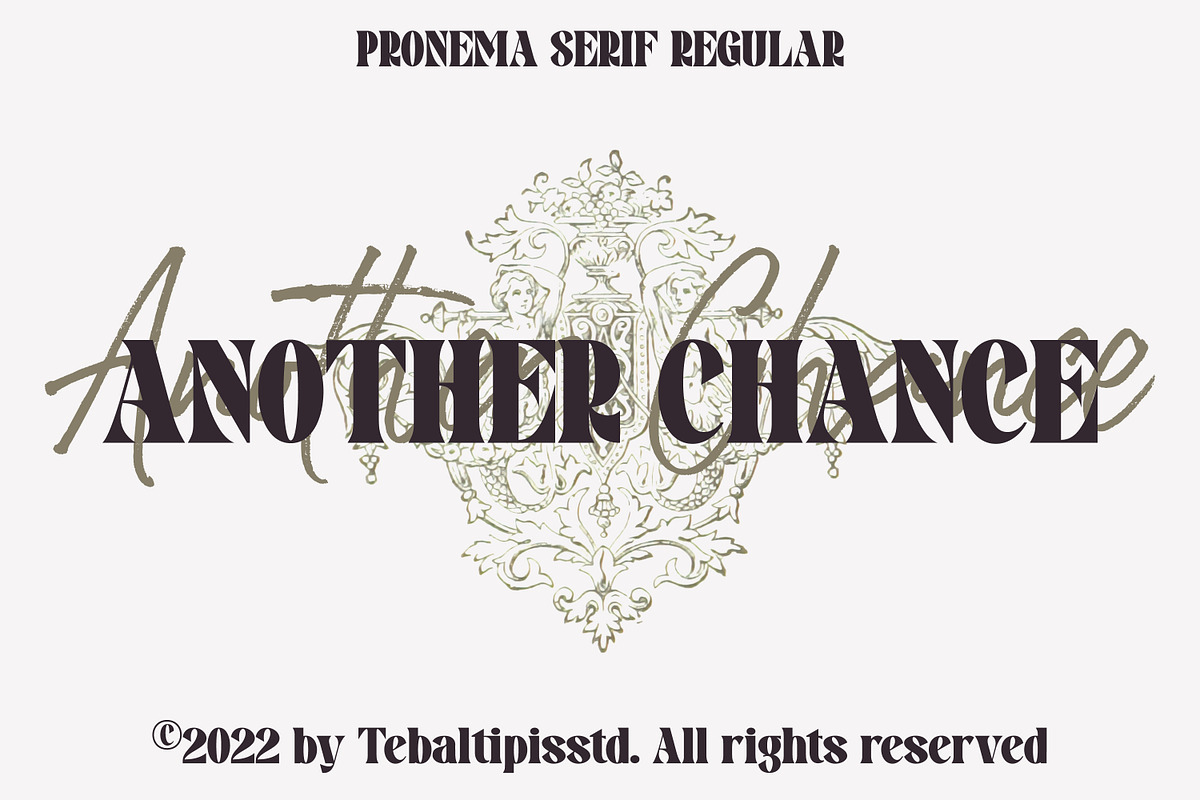Pronema - Modern Serif, a Serif Font by tebaltipislab (Photo 12 of 13)