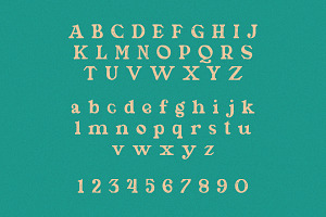 Piassey - Rough Serif Font