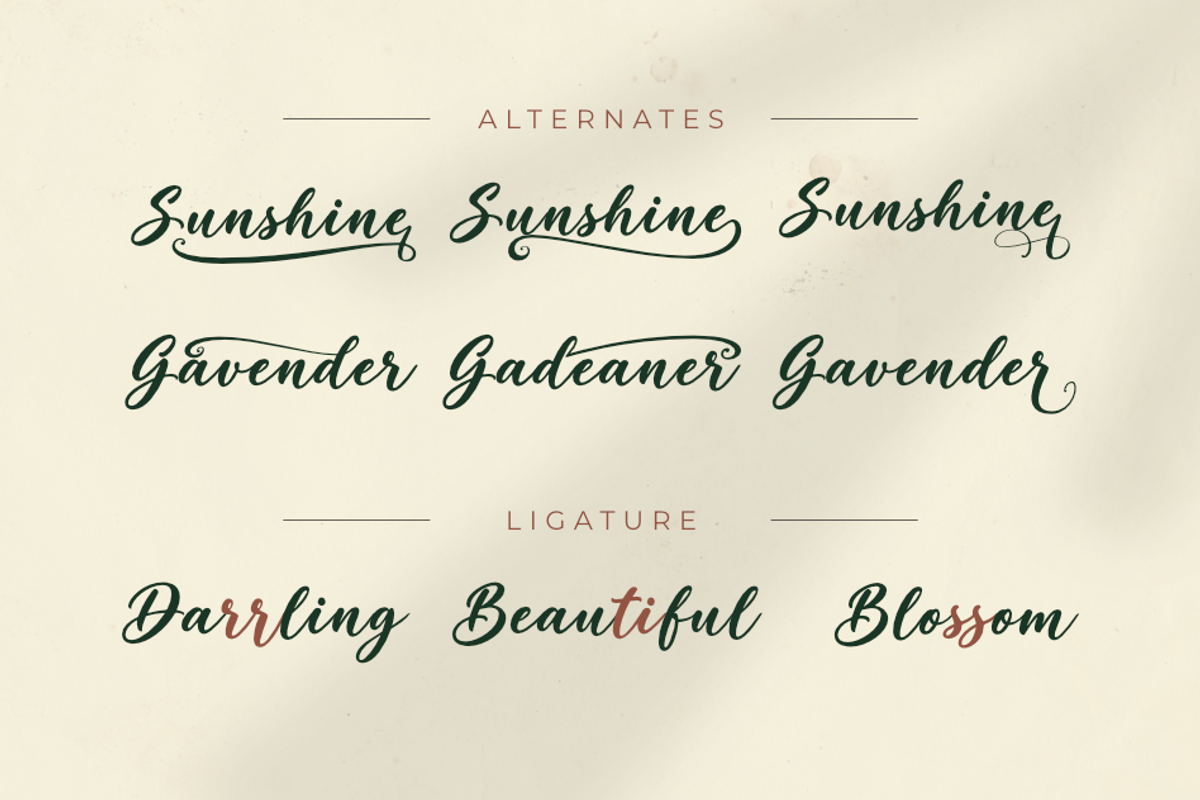 Soraya – Flowing Script Typeface, a Script Font by Ginart (Photo 7 of 9)