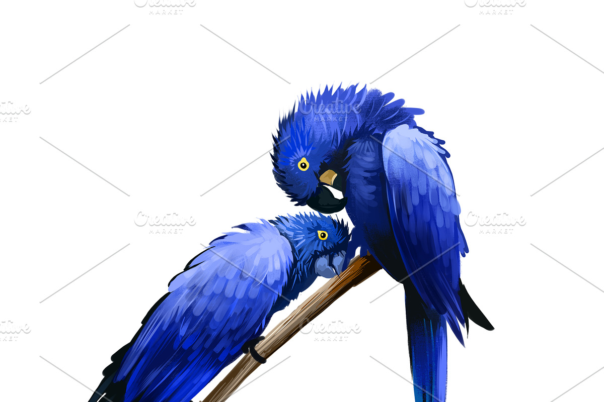 Tropical Birds SET, Exotic Species, an Animal Illustration by Dneprstock (Photo 6 of 10)