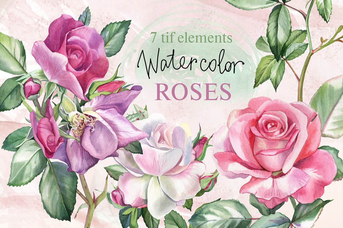 Watercolor roses, an Illustration by My art shop (Photo 1 of 2)