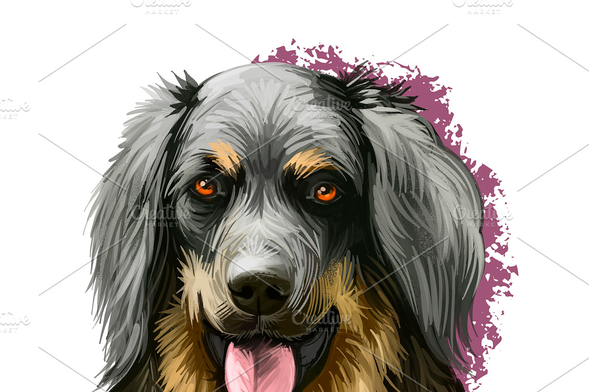 Most Popular Dog Breeds Pet Portrait, an Animal Illustration by Dneprstock (Photo 14 of 23)