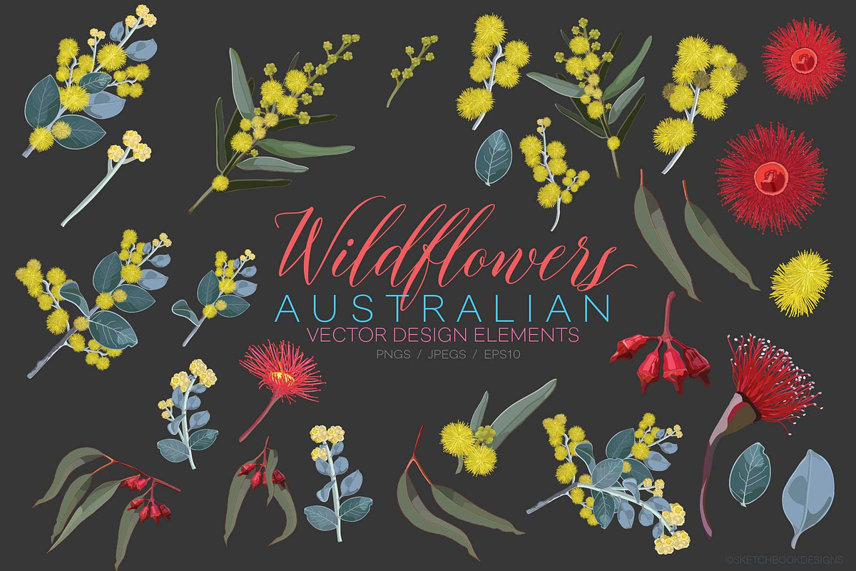 Wildflowers Australian Design Set, an Illustration by Sketchbook Designs (Photo 3 of 11)