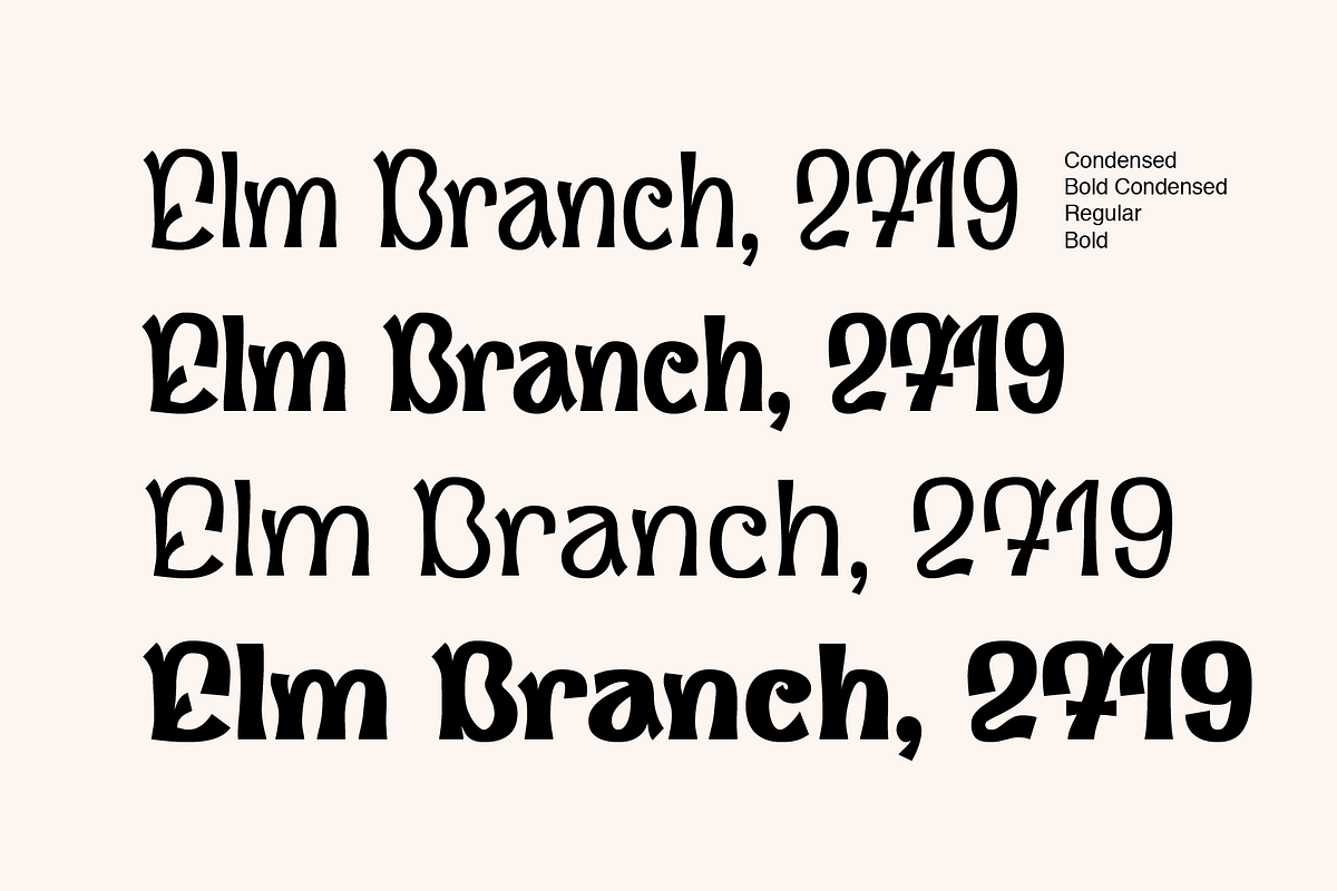 Forestory font, a Font by Michael Rafailyk (Photo 3 of 10)