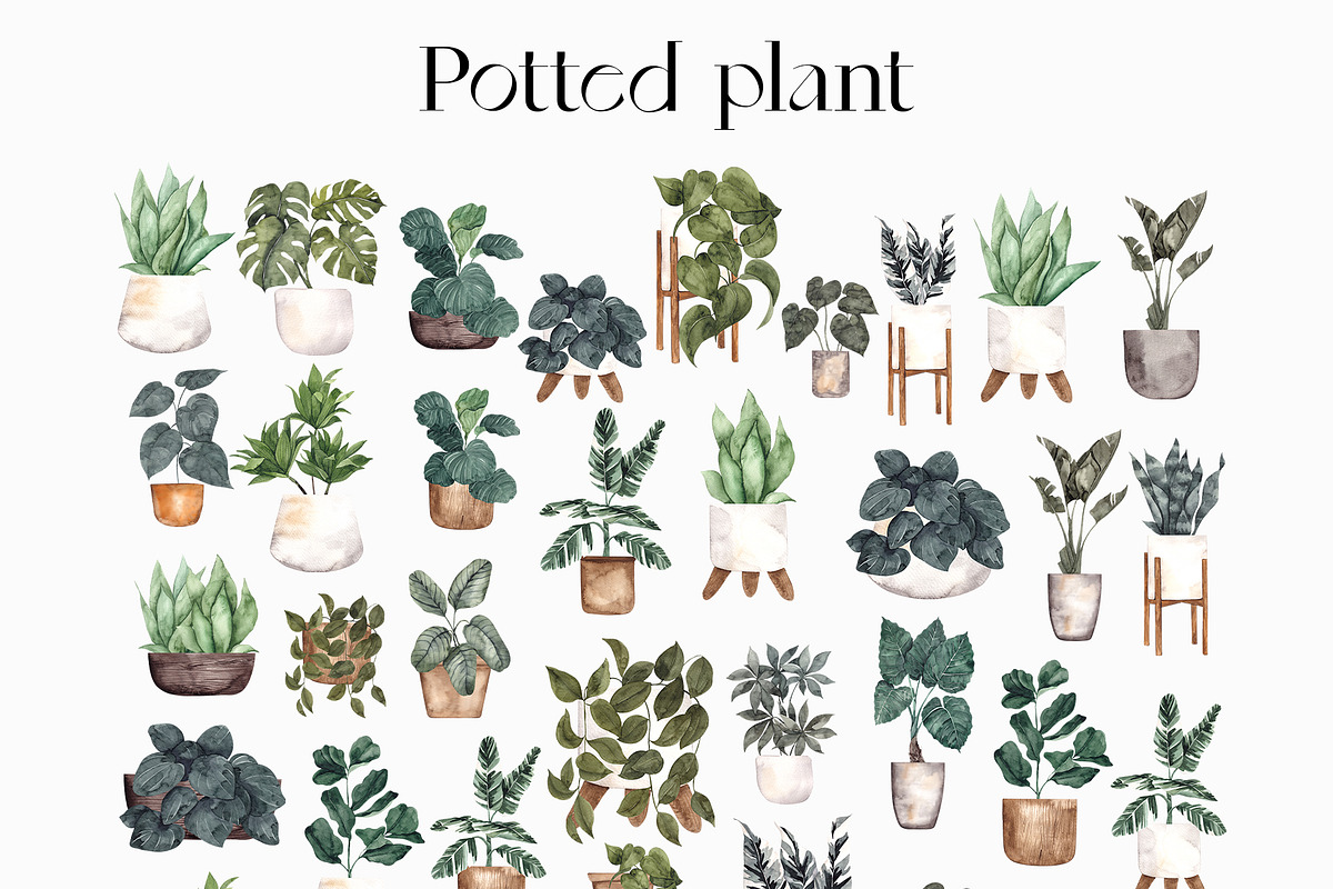 Potted Plant Pattern. Green home., a Pattern Graphic by ma_i_vi (Photo 13 of 13)