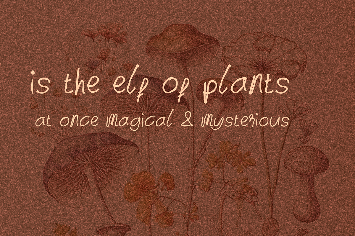 Baycat Handwritten Font, a Font by SSI.Scraps (Photo 3 of 5)